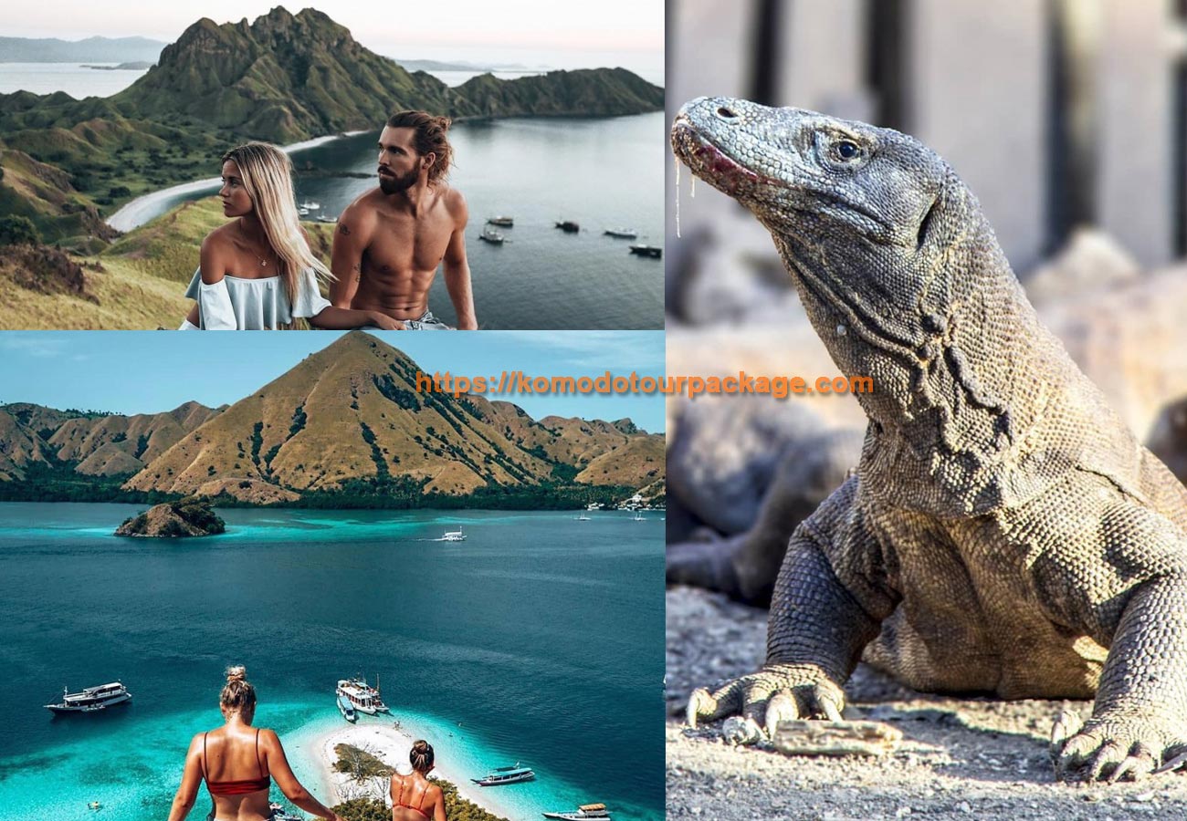 Komodo Tour Packages